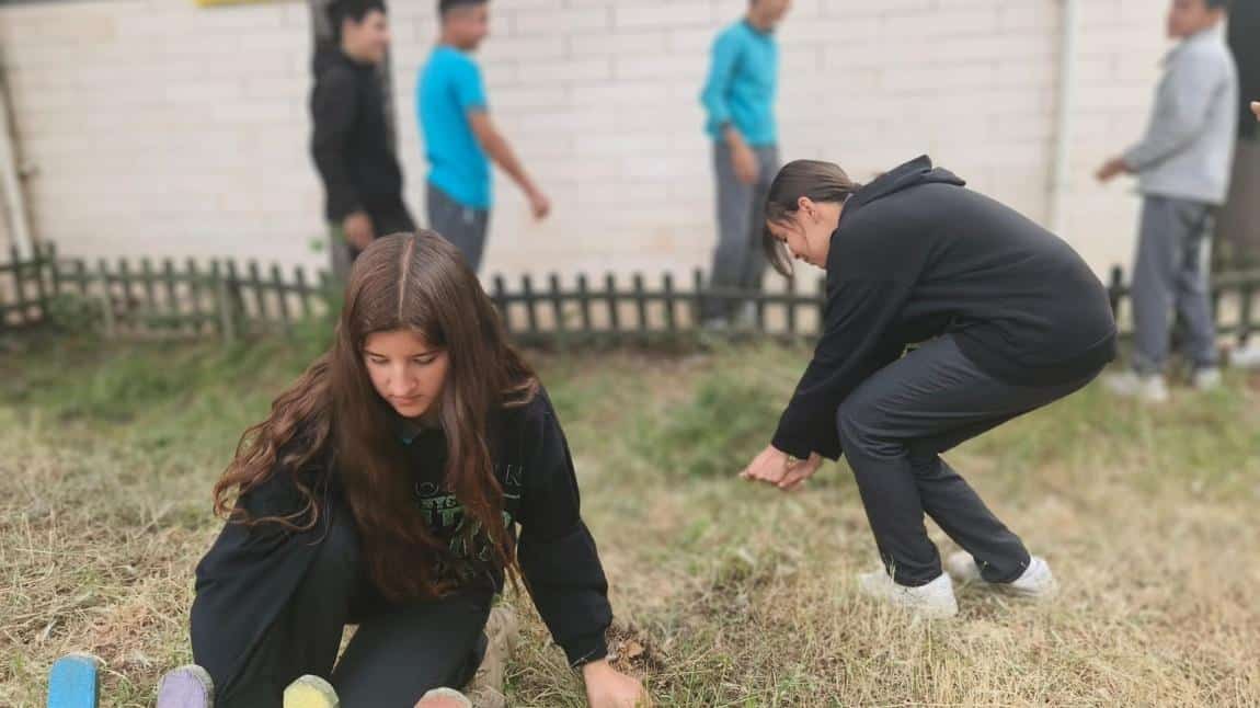 Bahçe Düzenlemesi